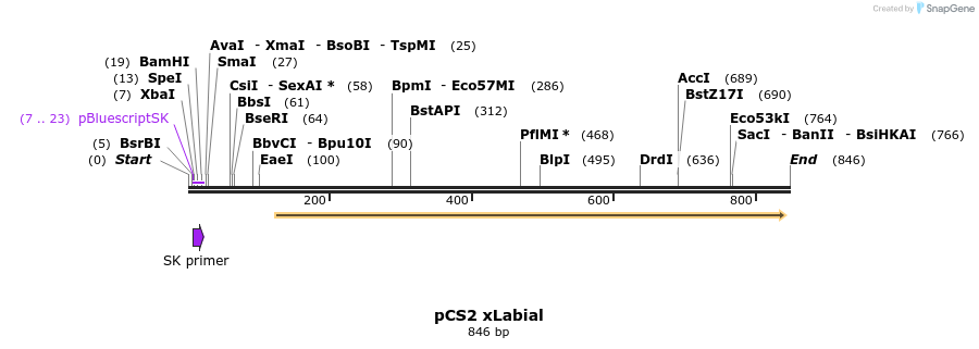 30928_map