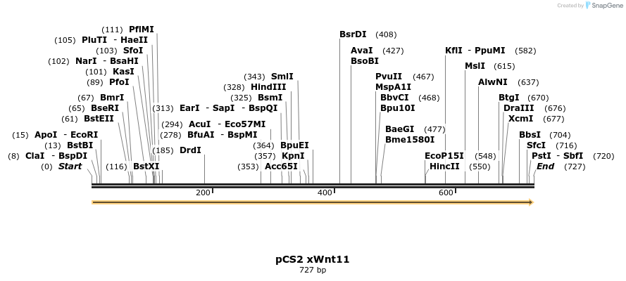 30932_map