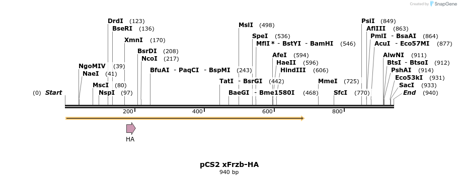 30936_map