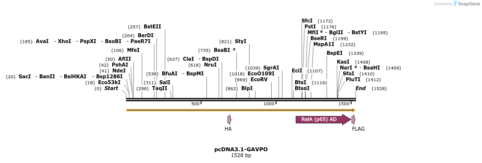 309421_map