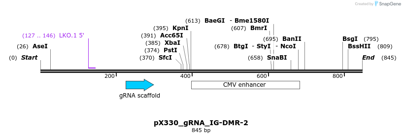 309474_map