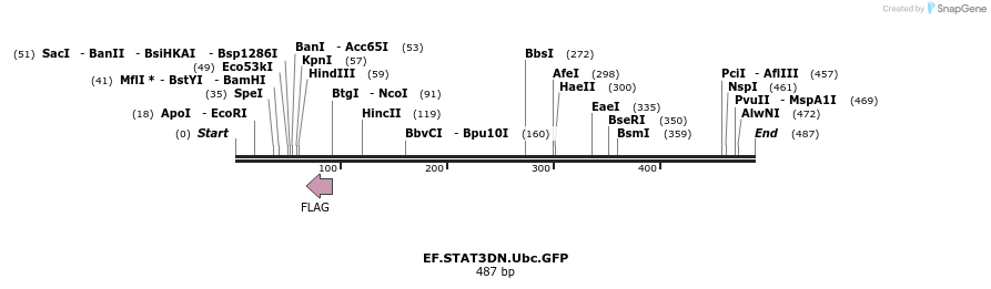 30953_map