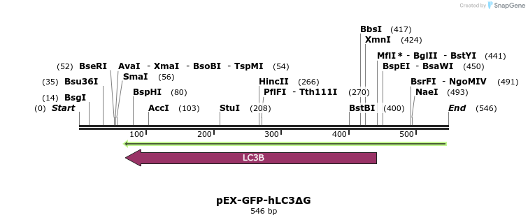 30957_map