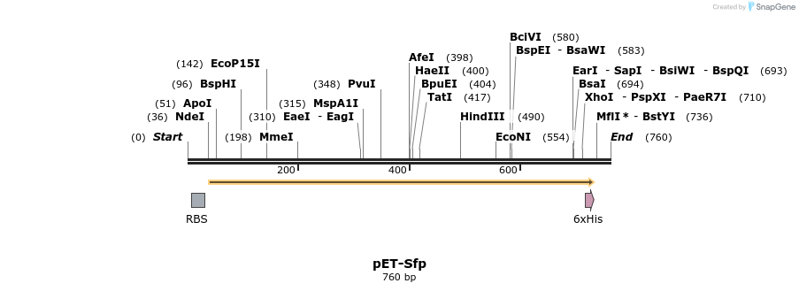 309582_map