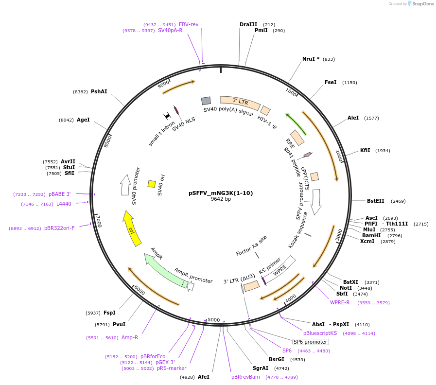 309611_map