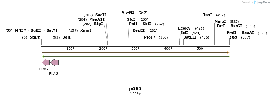 30963_map