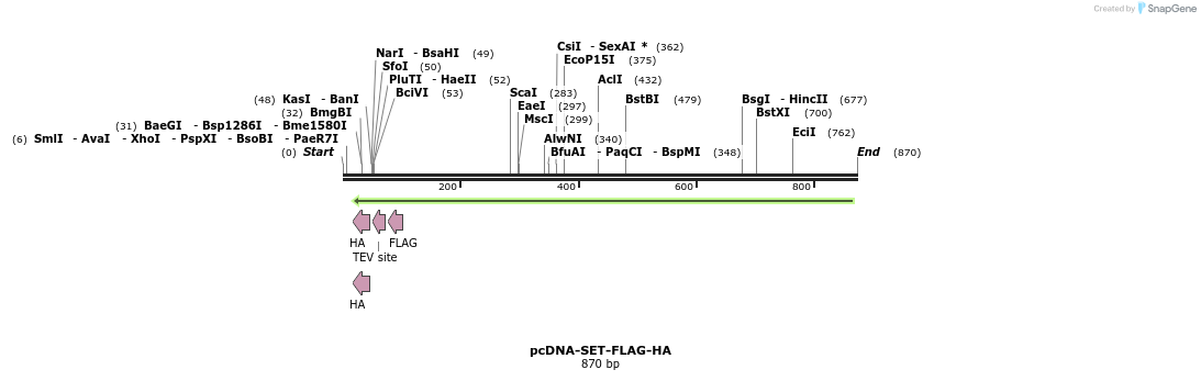 30966_map