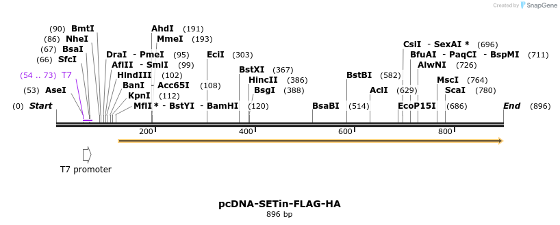 30967_map