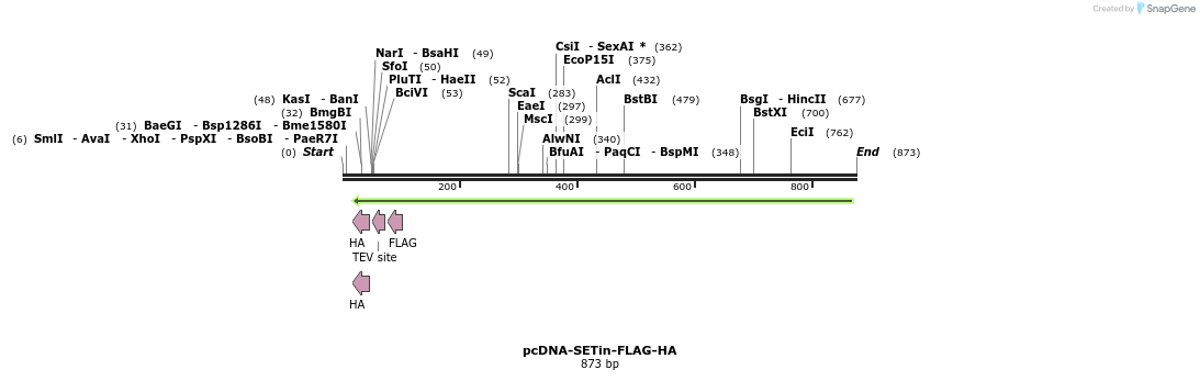 30968_map