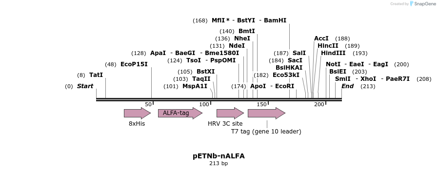 309681_map