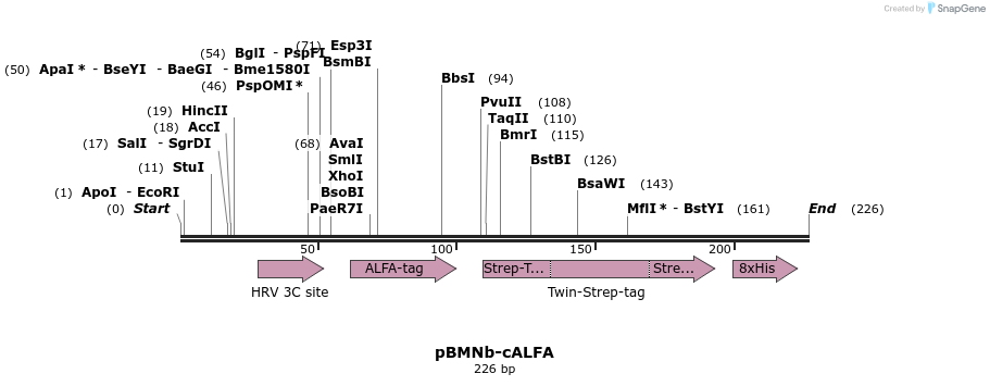 309687_map