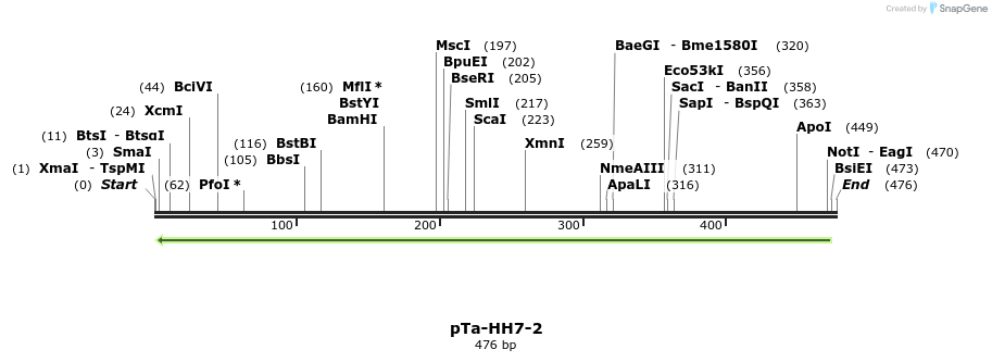 309740_map