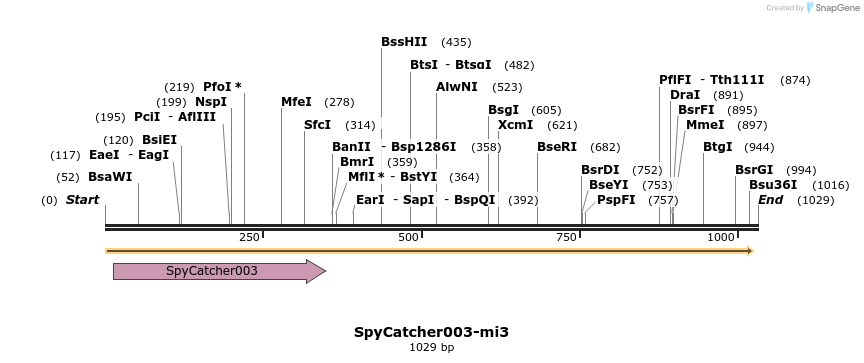 309754_map