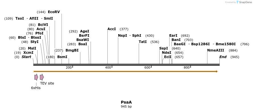309756_map