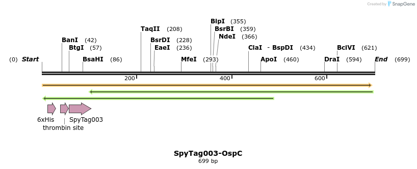 309758_map