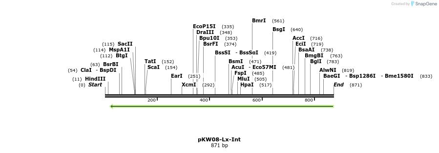 30976_map
