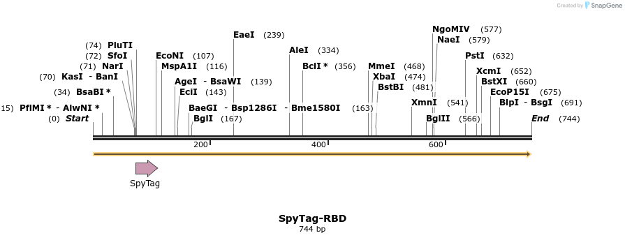 309761_map