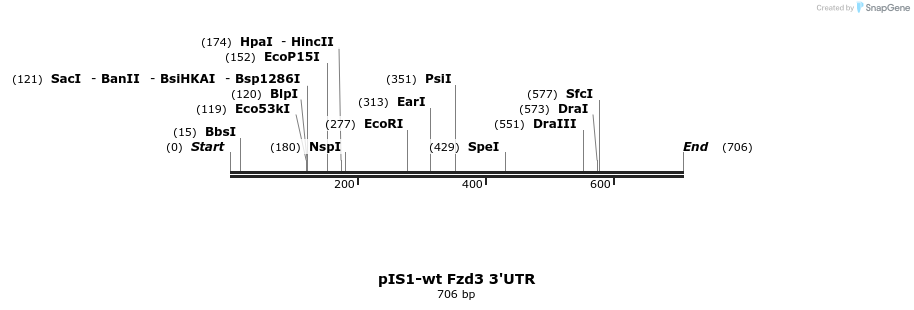 30980_map