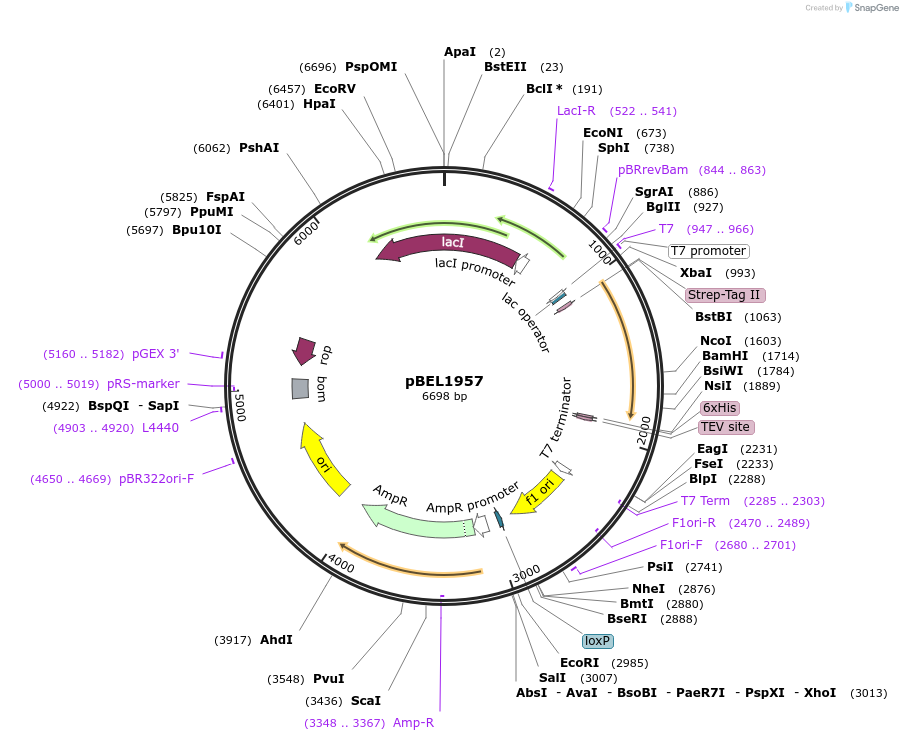 309873_map