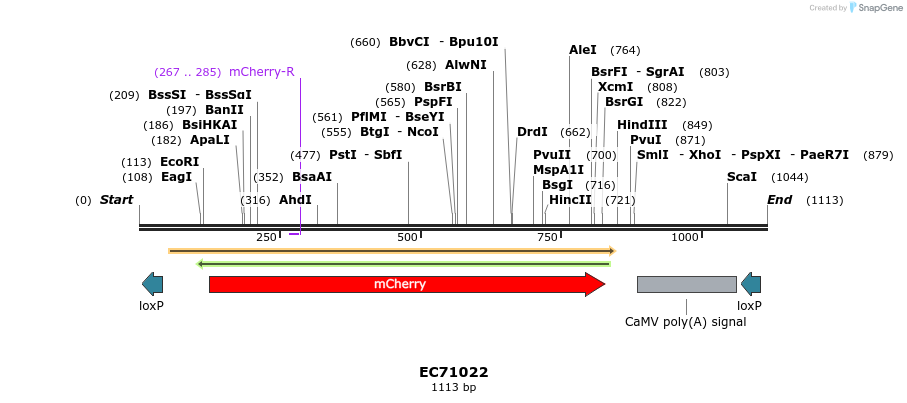 309885_map