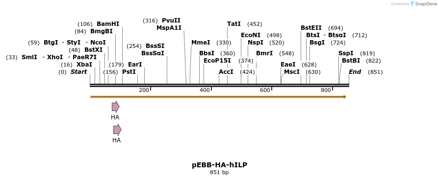 30989_map