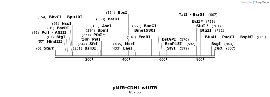 30992_map