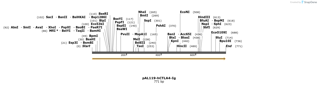 31001_map