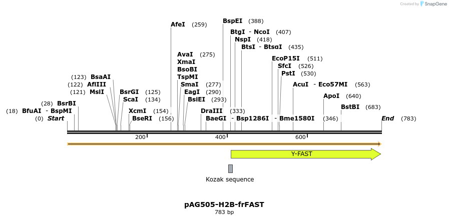 310031_map