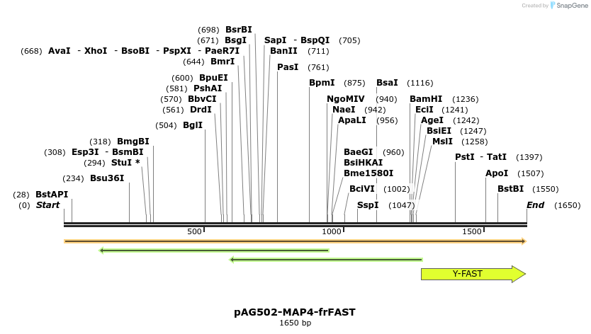 310035_map