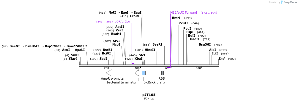 31004_map