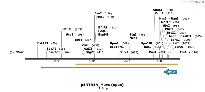310041_map