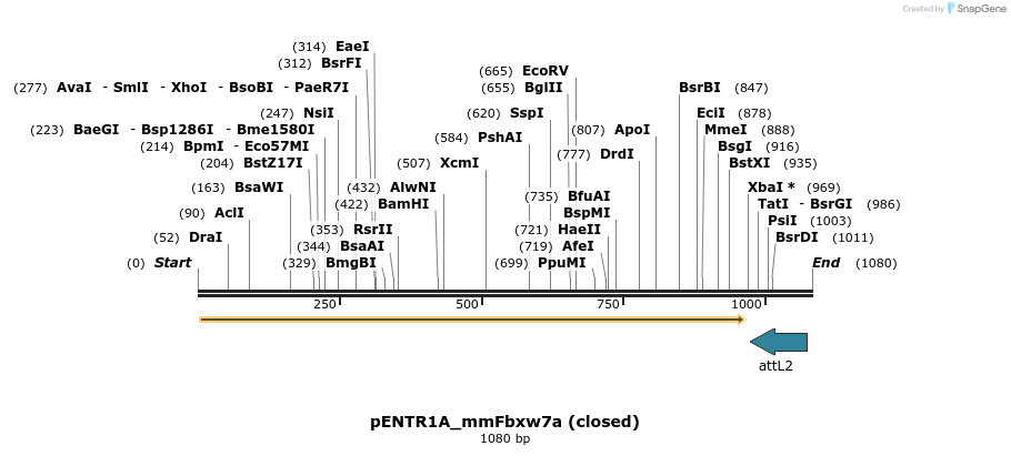 310043_map