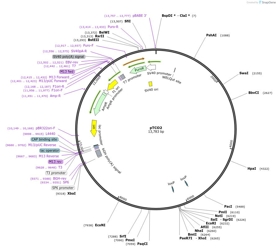 310054_map