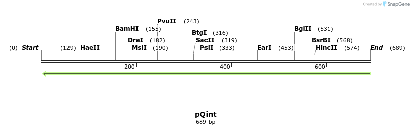 31008_map