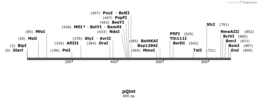 31009_map