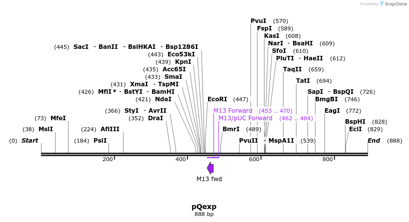 31010_map