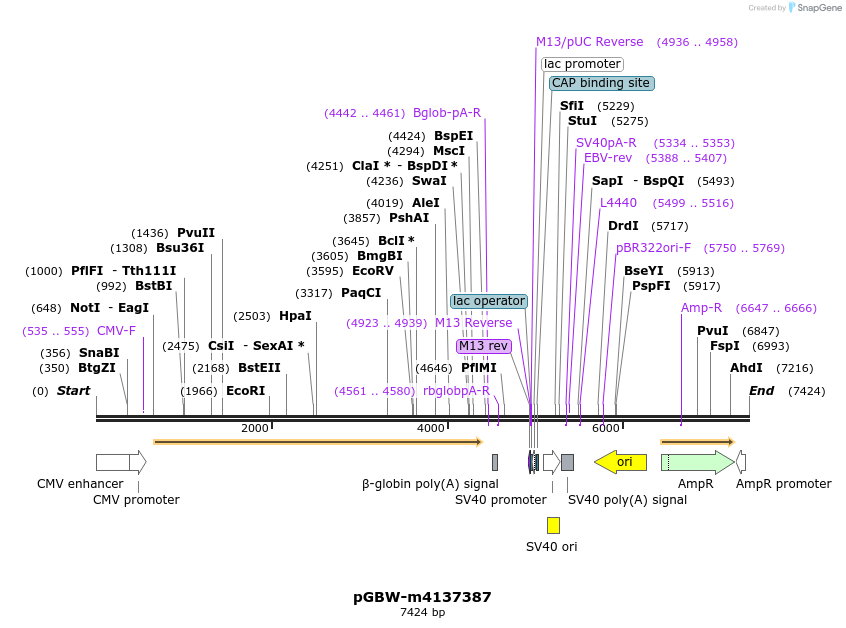 310111_map