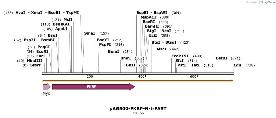 310126_map