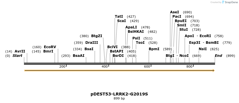 31014_map