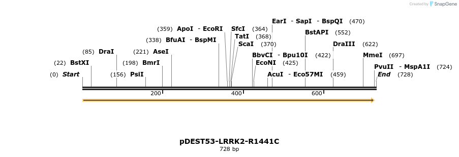 31016_map
