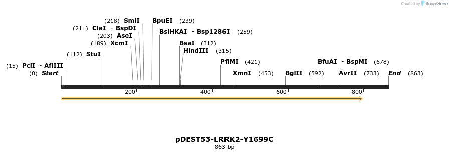 31018_map
