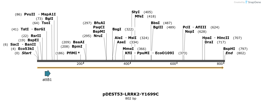 31019_map
