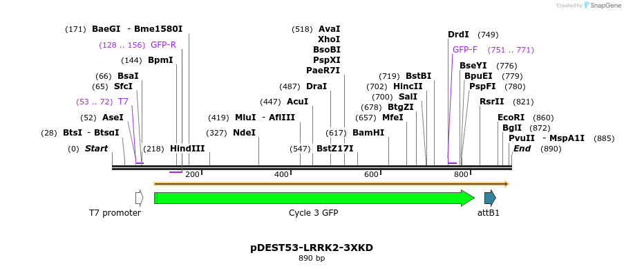 31020_map