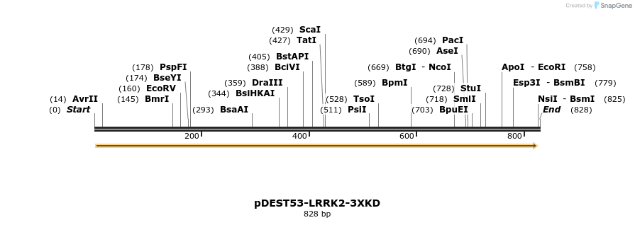 31021_map