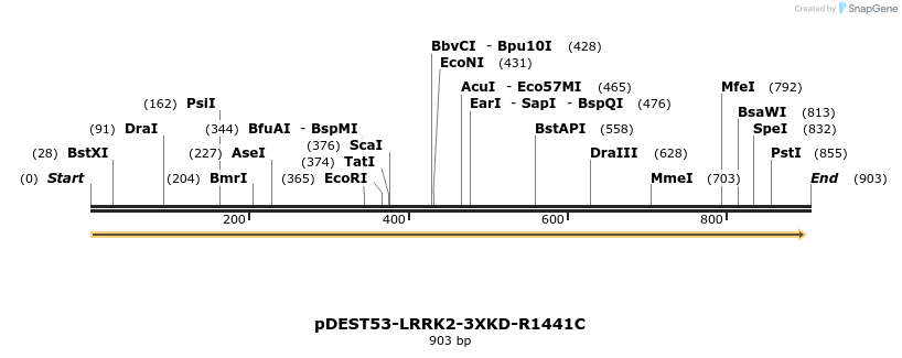 31022_map