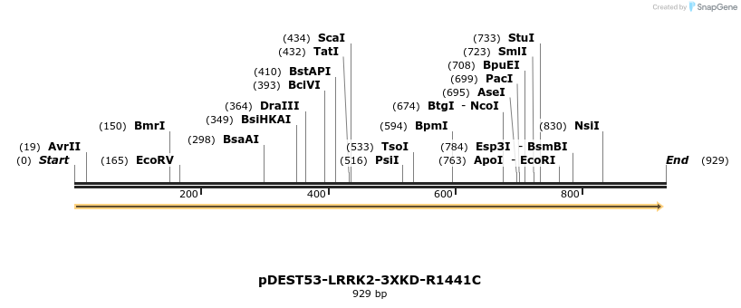 31023_map