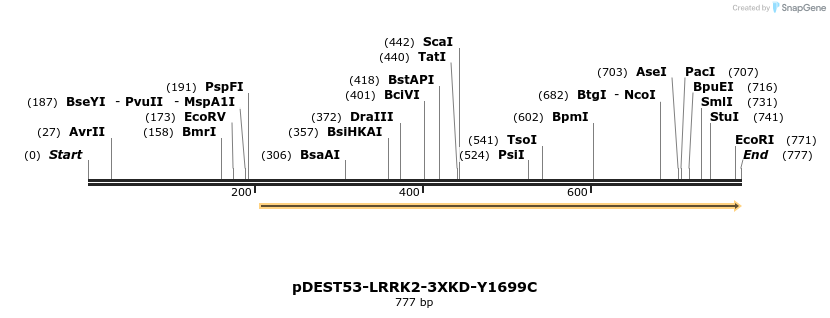 31025_map