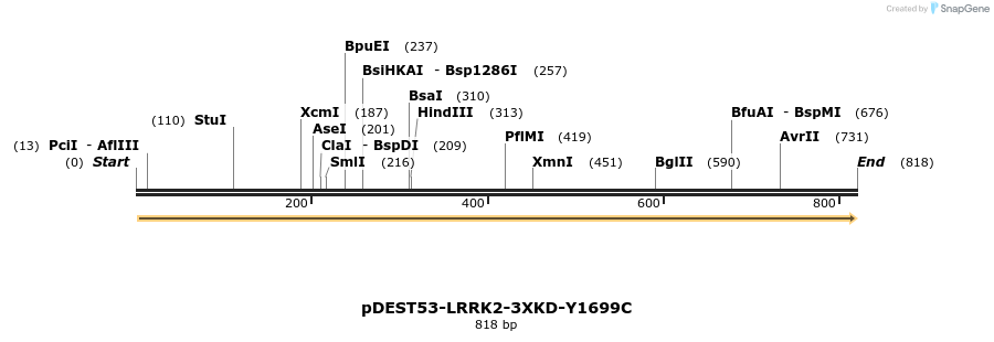 31026_map