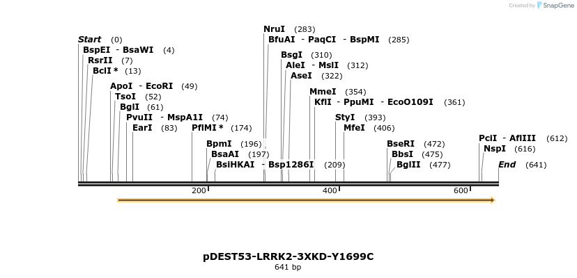 31027_map