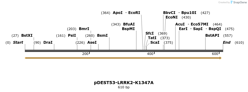 31028_map